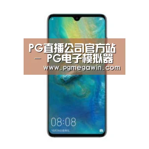 华为无线快充手机