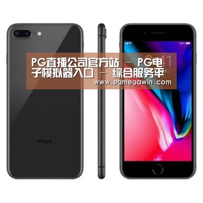 Apple iPhone 8 Plus (A1899) 64GB 深空灰色 移动联通4G手机