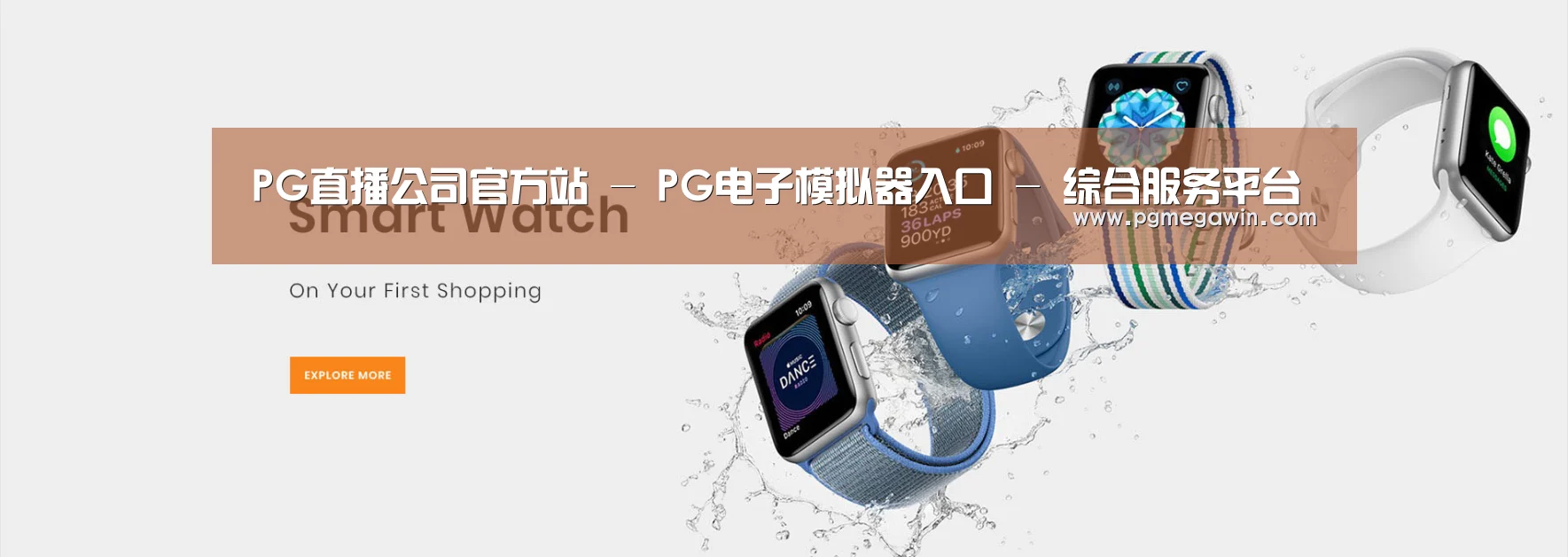 某某网络科技有限公司